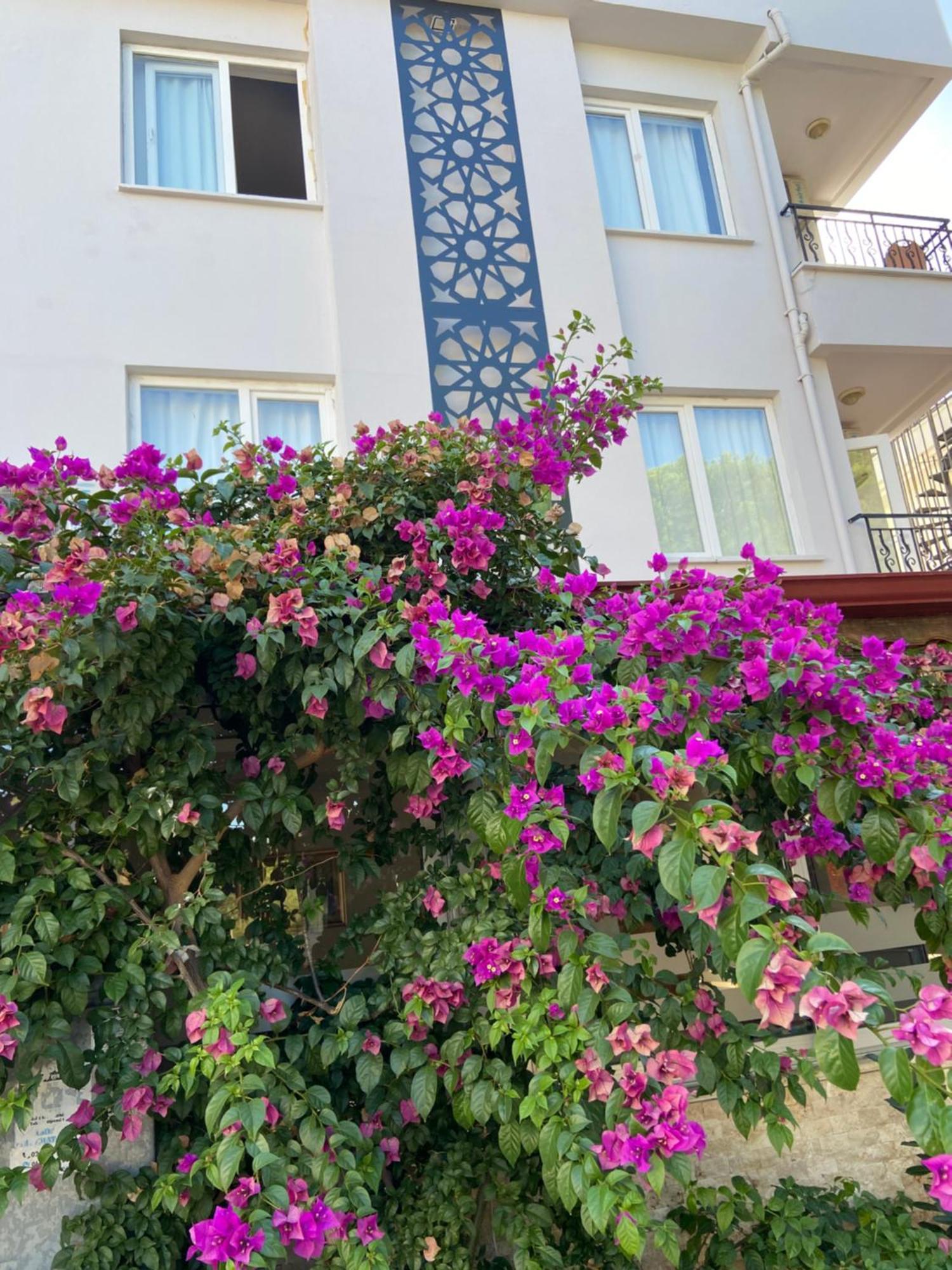 Serenity Suites Hotel Antalya Kültér fotó